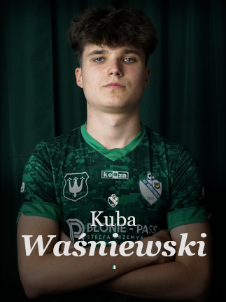 grafika na stronę min waśniewski