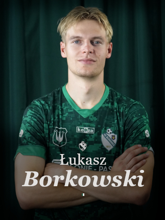 grafika na stronę główną borkowski