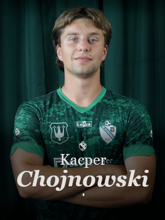 grafika na stronę główną chojnowski