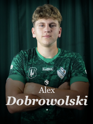 grafika na stronę główną dobrowolski