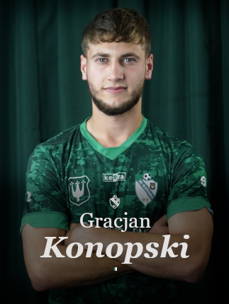 grafika na stronę główną konopski
