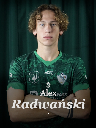 grafika na stronę główną radwański