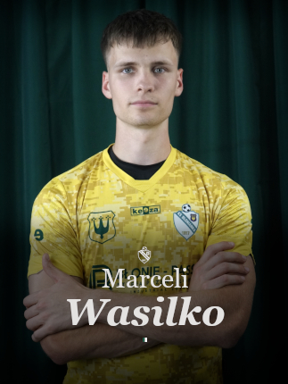 grafika na stronę główną wasilko