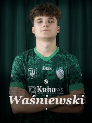 grafika na stronę główną waśniewski