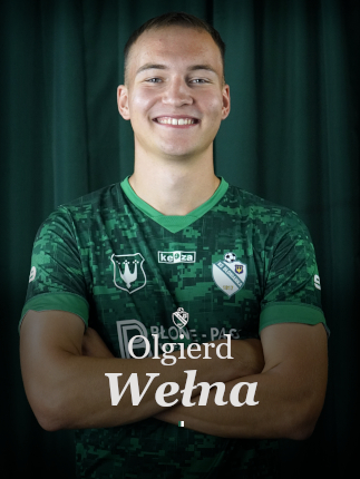 grafika na stronę główną wełna