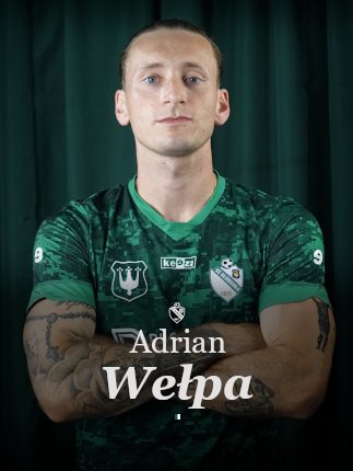 grafika na stronę główną wełpa